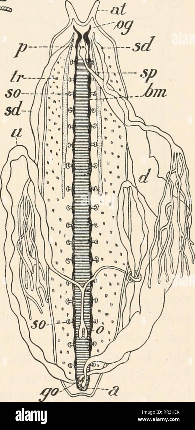 Erschliessen hires stock photography and images Alamy