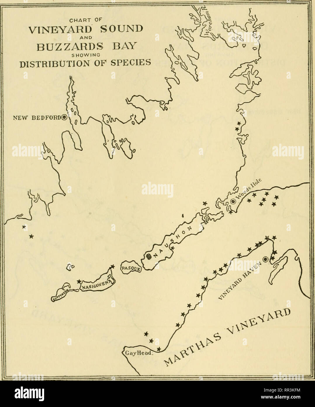 . [A biological survey of the waters of Woods Hole and vicinity. Marine animals; Marine plants. 536 BULLETIN OF THE BUREAU OF FISHERIES. CHART OF VINEYARD SOUND AND BUZZARDS BAY SHOWING DISTRIBUTION OF SPECIES NEW BEDFORD®. Chart 266.—Zostera marina Linnaeus. This common spermatoph;&gt;i:e of the shallow waters presented a scattered distribution, but was unusually abundant off Marthas Vineyard.. Please note that these images are extracted from scanned page images that may have been digitally enhanced for readability - coloration and appearance of these illustrations may not perfectly resemble  Stock Photo