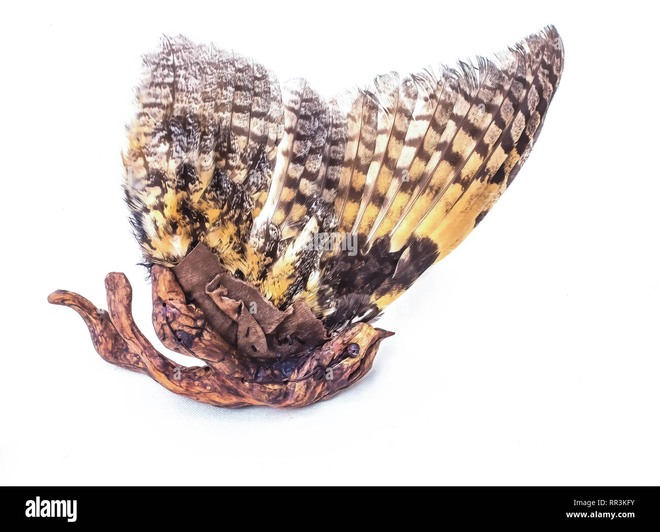 shamanic ritual object in shape of bird made from natural components