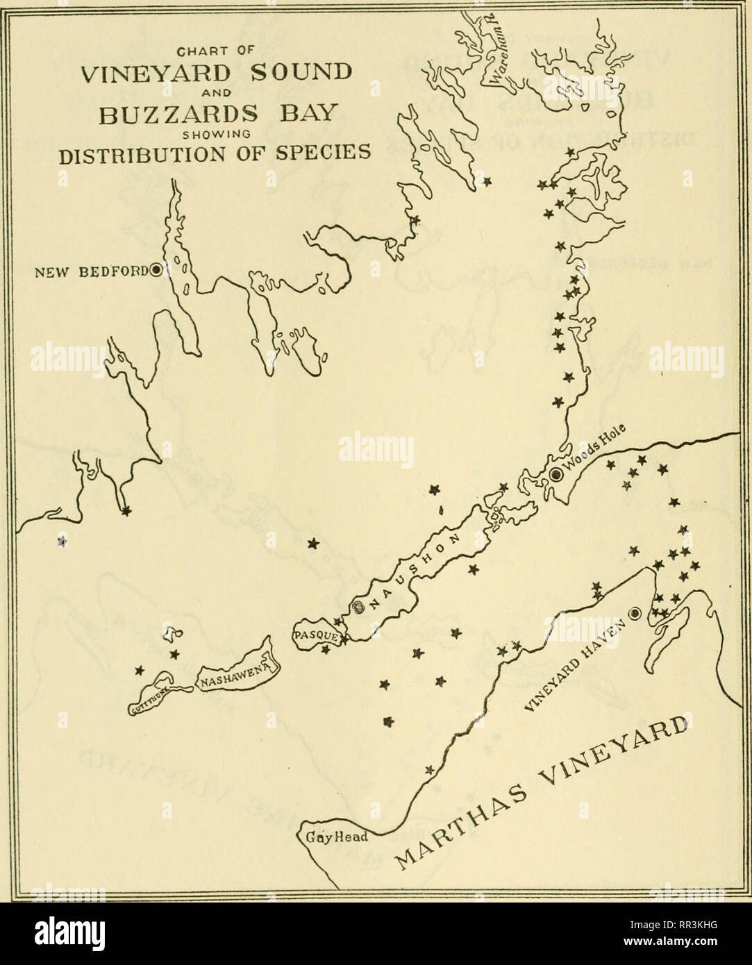 . [A biological survey of the waters of Woods Hole and vicinity. Marine animals; Marine plants. 528 BULLETIN OP THE BUREAU OF FISHERIES.. Chart 258.—Lomentaria uncinata Meneghini. In striking contrast to Lomeiitaria rosea (chart 257) this species is almost restricted to the warmer sheltered waters of Buzzards Bay and Vineyard Sound, where it is widely distributed.. Please note that these images are extracted from scanned page images that may have been digitally enhanced for readability - coloration and appearance of these illustrations may not perfectly resemble the original work.. Sumner, Fra Stock Photo