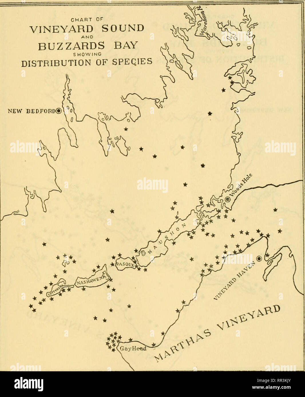 . [A biological survey of the waters of Woods Hole and vicinity. Marine animals; Marine plants. BIOLOGICAL SURVEY OF WOODS HOLE AND VICINITY. 521 CHART or VINEYARD SOUND AND BUZZARDS BAY S MOWING DISTRIBUTION OF SPEQIES )o^ NEW BEDFORD®. Chart 251.—Phyllophora Brodiaei (Turner) J. Agardh. Very generally distributed throughout Buzzards Bay and Vineyard Sound but most abundant in cposed situations.. Please note that these images are extracted from scanned page images that may have been digitally enhanced for readability - coloration and appearance of these illustrations may not perfectly resembl Stock Photo