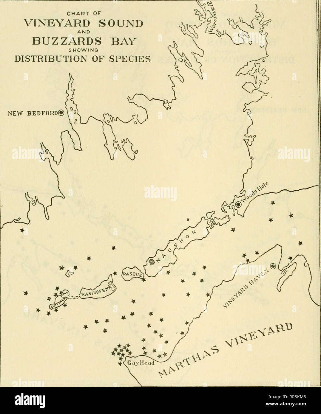. [A biological survey of the waters of Woods Hole and vicinity. Marine animals; Marine plants. 5i6 BULLETIN OF THE BUREAU OF FISHERIES. CHART OF VINEYARD SOUND AND BUZZARDS BAY SHOWING DISTRIBUTION OF SPECIES NEW BEDFORD®  0. Chart 246.—Polysiphonia elongata (Hudson) Harvey. Prefers the cooler waters of the lower portion of Buzzards Bay and the westerly portion of Vineyard Sound, but presents a somewhat scattered distribution.. Please note that these images are extracted from scanned page images that may have been digitally enhanced for readability - coloration and appearance of these illust Stock Photo