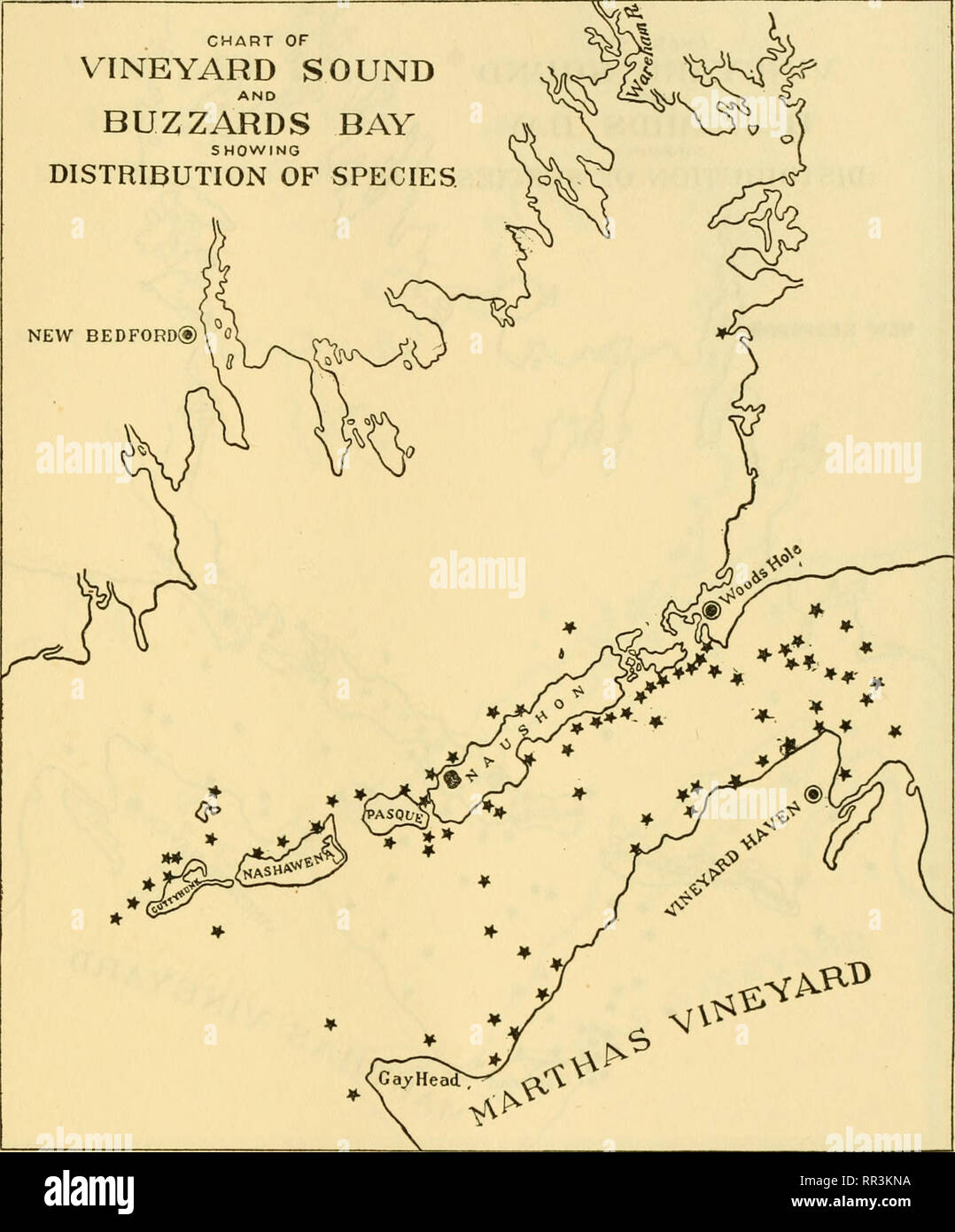 . [A biological survey of the waters of Woods Hole and vicinity. Marine animals; Marine plants. BIOLOGICAL SURVEY OF WOODS HOLE AND VICINITY. 509 CHART OF VINEYARD SOUND AND BUZZARDS BAY SHOWING DISTRIBUTION OF SPECIES. NEW BEDFORD®. * Chart 239.—Antithamnion cruciatum (Agardh) Nageli. Widely distributed in both Buzzards Bay and Vineyard Sound over stony bottoms that support extensive growths of Chondrus, Phyllophora, and Polyides, upon which it is a common epiphyte.. Please note that these images are extracted from scanned page images that may have been digitally enhanced for readability - co Stock Photo