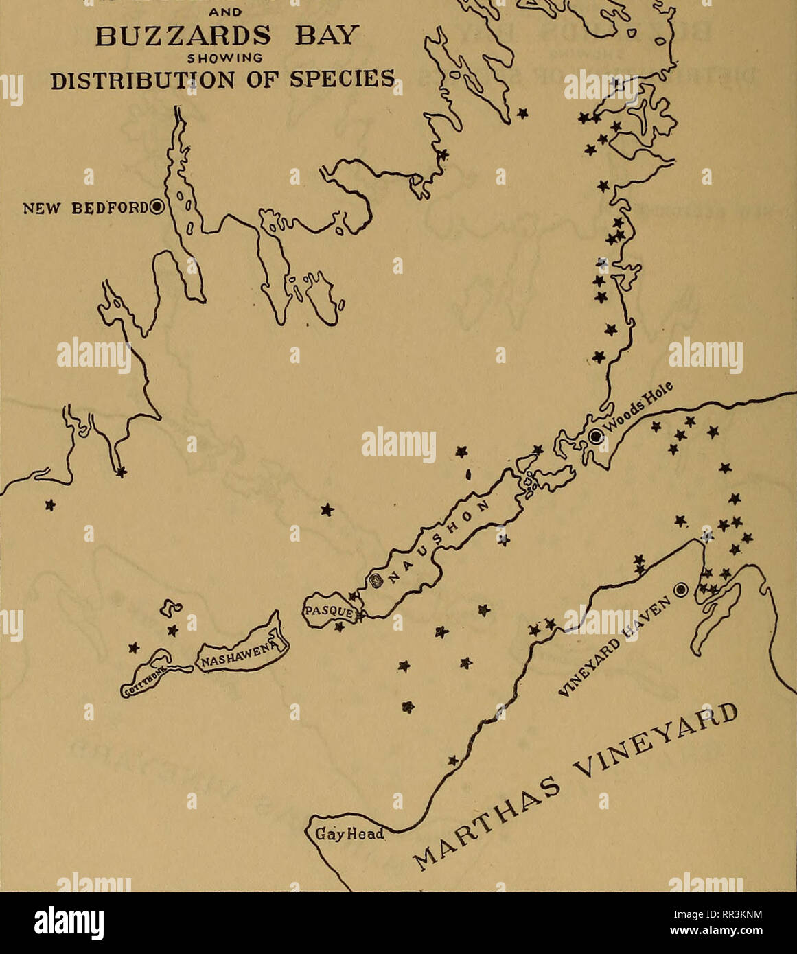 . [A biological survey of the waters of Woods Hole and vicinity. Marine animals; Marine plants. 528 BULLETIN OF THE BUREAU OF FISHERIES. ^T VINEYARD SOUND W^M ^ BUZZARDS BAY ^  SHOWING J. ^J DISTRIBUTION OF SPECIES 4° *r NEW BEDFORD®. Chart 258.—Lomentaria uncinata Meneghini. In striking contrast to Lomentaria rosea (chart 257) this species is almost restricted to the warmer sheltered waters of Buzzards Bay and Vineyard Sound, where it is widely distributed.. Please note that these images are extracted from scanned page images that may have been digitally enhanced for readability - color Stock Photo