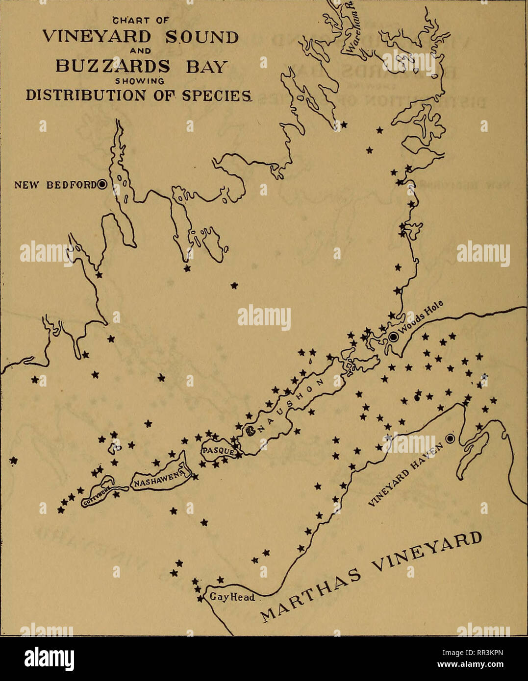 . [A biological survey of the waters of Woods Hole and vicinity. Marine animals; Marine plants. 522 BULLETIN OF THE BUREAU OF FISHERIES. Chart of VINEYARD SOUND AND BUZZARDS BAY SHOWING DISTRIBUTION OF SPECIES NEW BEDFORD®  0. Chart 252.—Phyllophora membranifolia (Goodenough &amp; Woodward) J. Agardh. As widely distributed as Phyllophora Brodicei (chart 251) but apparently showing a preference for more sheltered regions.. Please note that these images are extracted from scanned page images that may have been digitally enhanced for readability - coloration and appearance of these illustrations Stock Photo