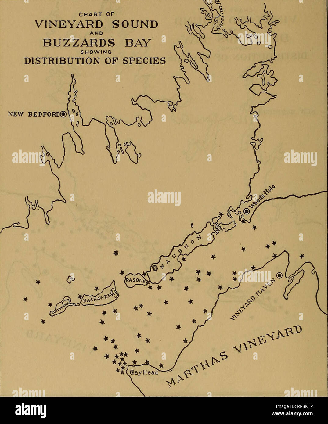 . [A biological survey of the waters of Woods Hole and vicinity. Marine animals; Marine plants. 5io BULLETIN OF THE BUREAU OF FISHERIES. CHART OF VINEYARD SOUND BUZZARDS BAY SHOWING DISTRIBUTION OF SPECIES )&lt;S NEW BEDFORD®. Chart 240.—Ceramium rubrum (Hudson) Agardh. This very common, species of the shallow sublittoral zone is also abundant and widely distributed in the deeper waters.. Please note that these images are extracted from scanned page images that may have been digitally enhanced for readability - coloration and appearance of these illustrations may not perfectly resemble the or Stock Photo