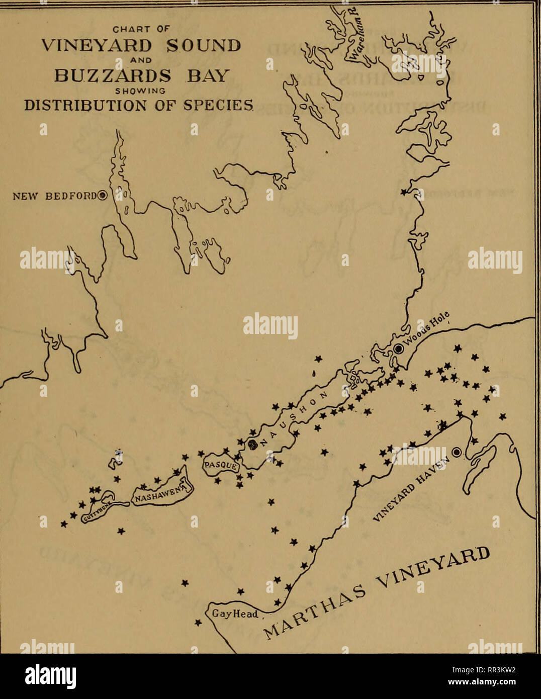 . [A biological survey of the waters of Woods Hole and vicinity. Marine animals; Marine plants. BIOLOGICAL SURVEY OF WOODS HOLE AND VICINITY. 509 CHART OF VINEYARD SOUND BUZZARDS BAY SHOWING DISTRIBUTION OF SPECIES NEW BEDFORD®) 0. Chart 239.—Antithamnion cruciatum (Agardh) Nageli. Widely distributed in both Buzzards Bay and Vineyard Sound over stony bottoms that support extensive growths of Chondrus, Phyllophora, and Polyides, upon which it is a common epiphyte.. Please note that these images are extracted from scanned page images that may have been digitally enhanced for readability - colora Stock Photo