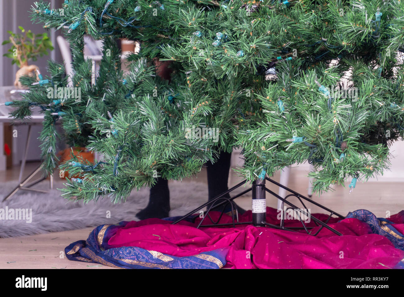 Feet behind an artificial Christmas tree, getting ready to set up the