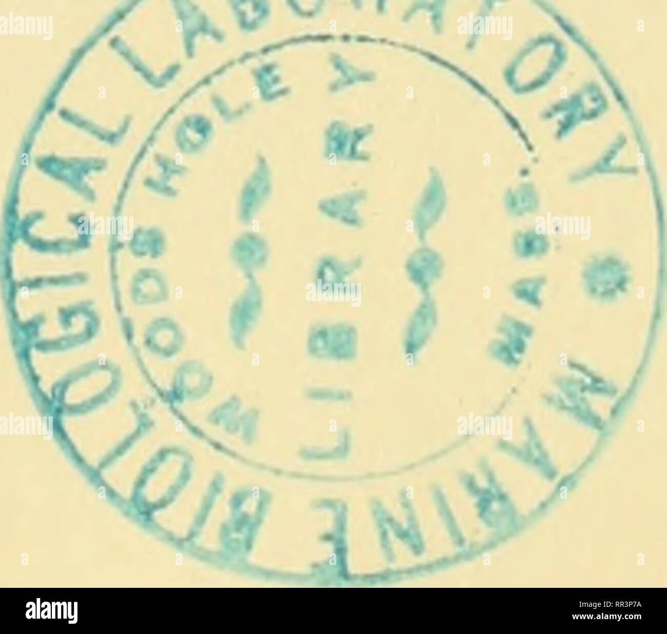 Silbe High Resolution Stock Photography And Images Alamy