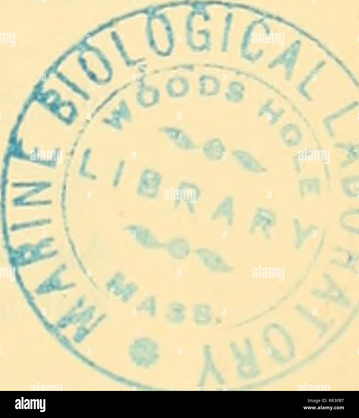 Gleichstrom High Resolution Stock Photography And Images Alamy