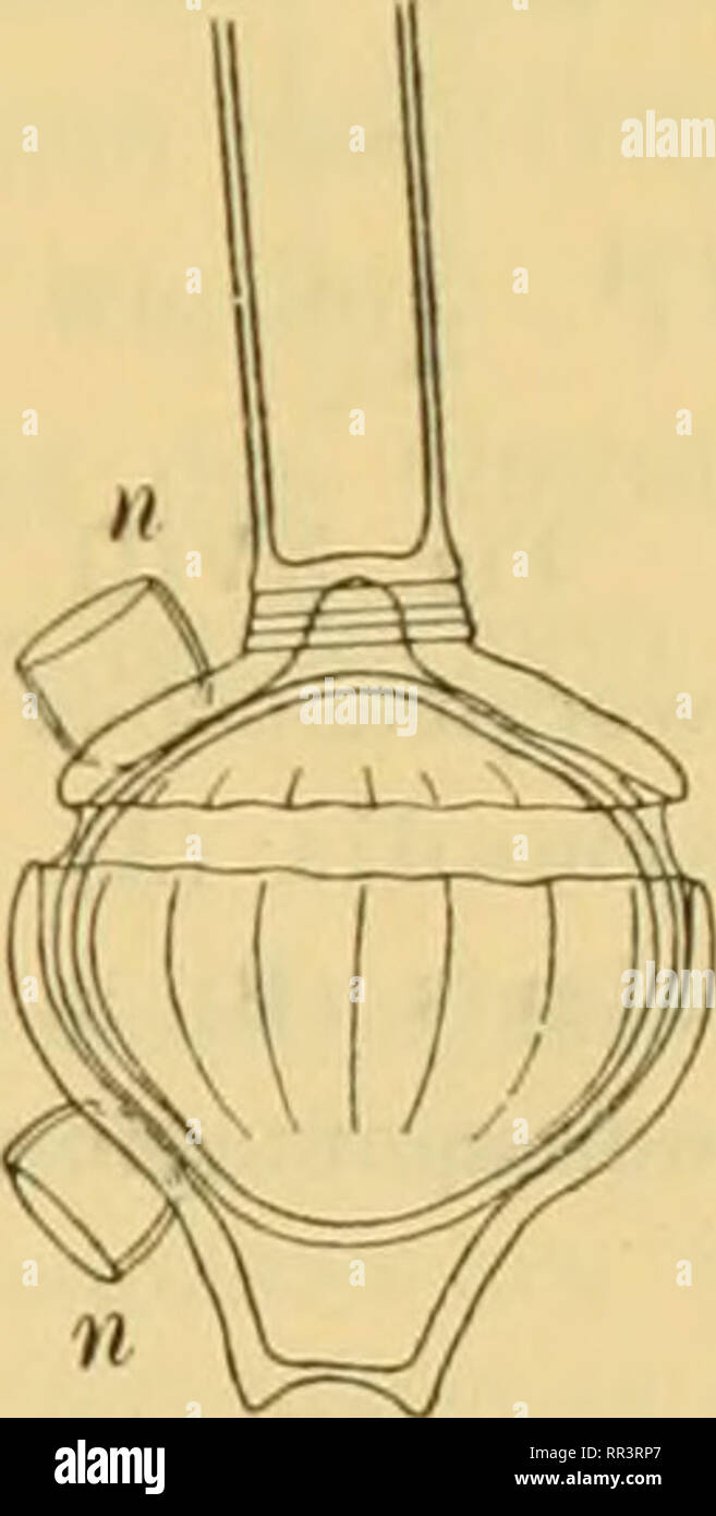 . Acta Societatis Scientiarum Fennicae. Science. MonograjÂie der