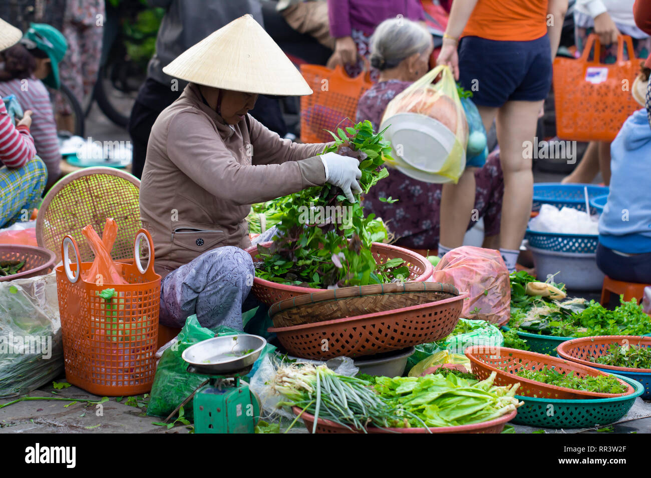 Woman selling herbs on street market, Saigon, Vietnam. Stock Photo