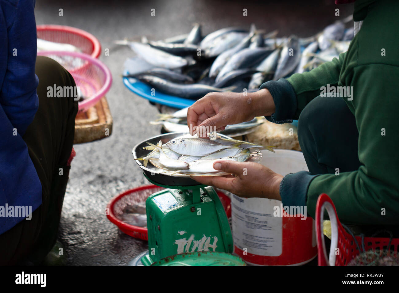 closeup of hands weighting fresh fish on market Stock Photo