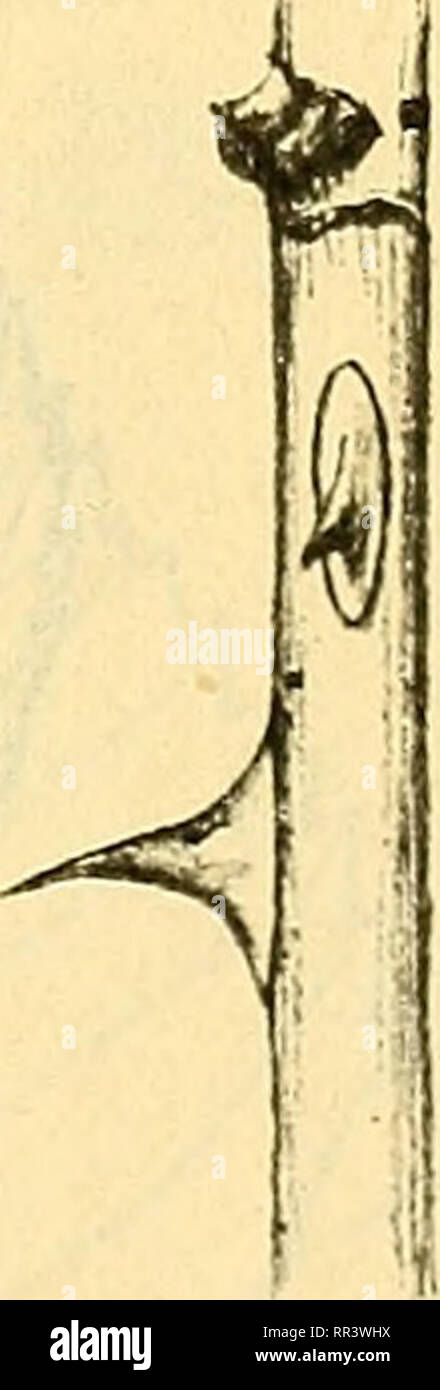 Allmänt High Resolution Stock Photography and Images - Alamy