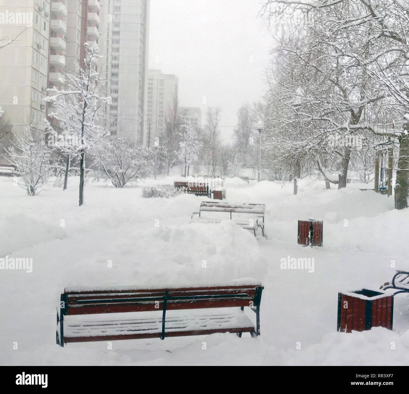 city park after snowfall at day Stock Photo - Alamy
