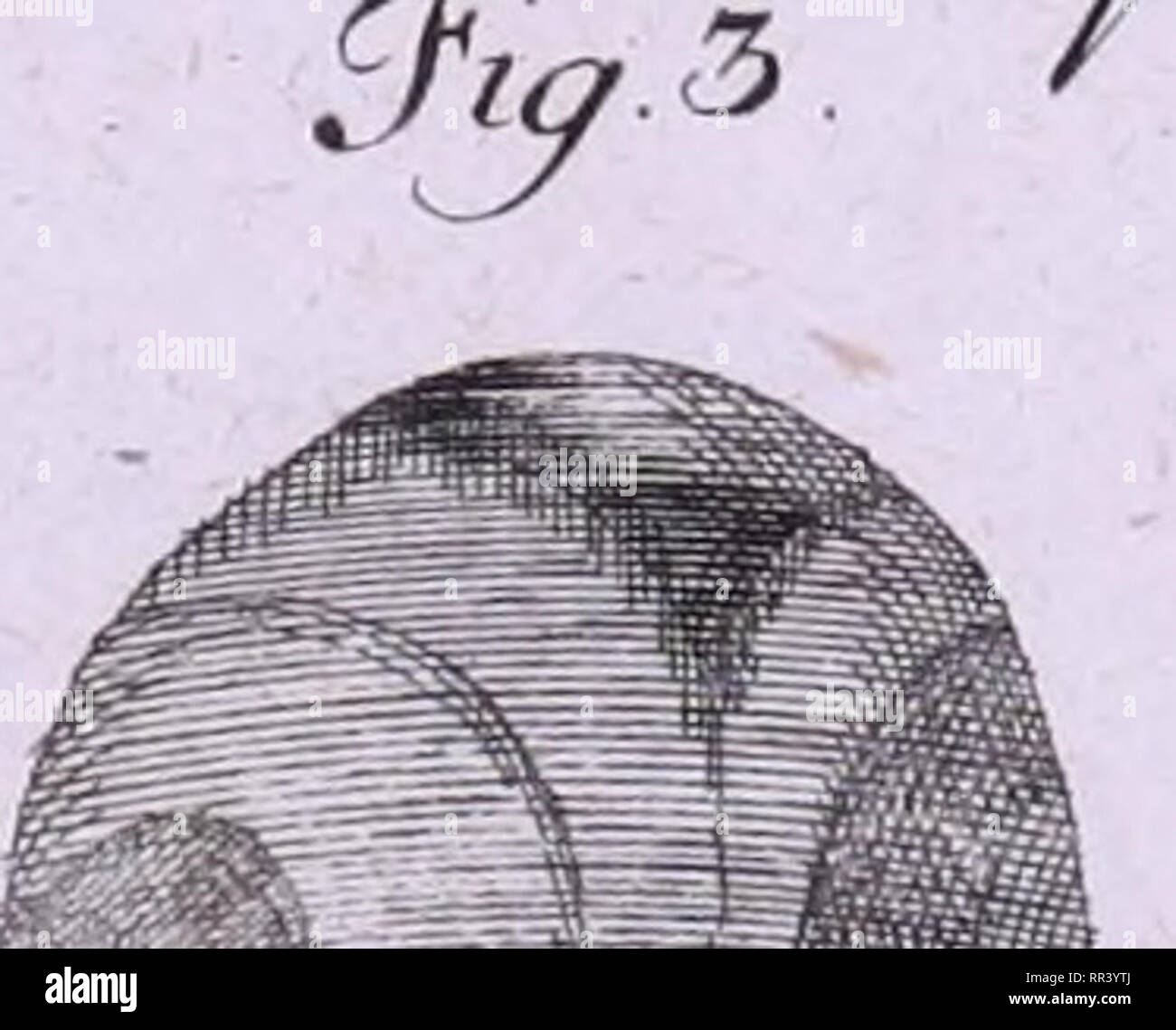 Acta Helvetica Physico Mathematico Anatomico Botanico Medica U Fgi Rc Orsje Ife A Ncnfaoie Amnoeitr Aunc Oaj Cierre Aoiit An Afroui C Yna Rrdeia Meme Orafiaeiu Ocuidlaryodji Contine Le Moiitrr La Fiauf E 0 Le Aiialre Ontpeje J Q Uaire Onceu