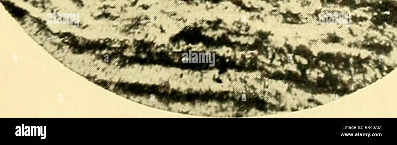 Piedra de salto hires stock photography and images Alamy