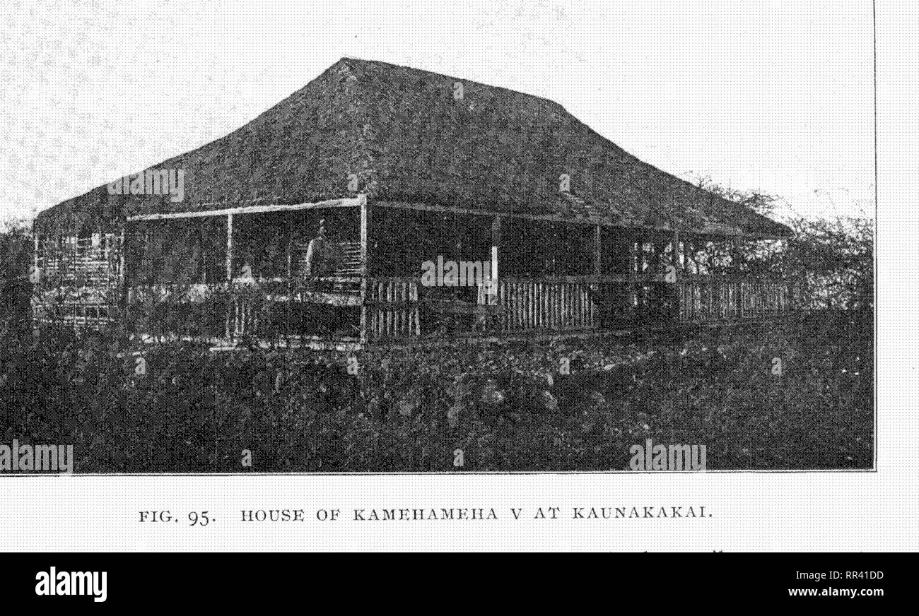 . Memoirs of the Bernice Pauahi Bishop Museum of Polynesian Ethnology and Natural History. Natural history; Ethnology. 112 'fhr Afififtif Hazvaiian House. ill tlie ilhistratioii, Fig, 94, the sliadow of the roof conceals the ndtiire of the walls while showing&quot; the refleclioii of lig'ht from the smooth stems of the ij^rass. The next step is seen in .q. house built for Kaniehameha V at Kairiiakakai, on the south shore of Klolrjkai. When the photograph was taken in iSSS the house was in ruin and quite uninhabitable; were it not for tlie bars aeross the lanai openings, eattk' might have en Stock Photo