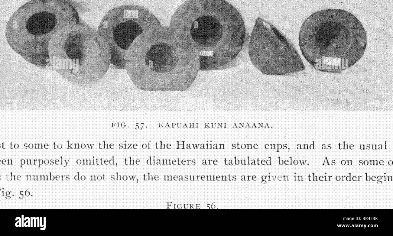 Memoirs of the Bernice Pauahi Bishop Museum of Polynesian Ethnology and  Natural History. Natural history; Ethnology. but a specimen reiiiaiiis  iit-ar llie lieiau called Mokini in K(»lKila, Hawaii, laiT>-e eiioiii^li  tx)