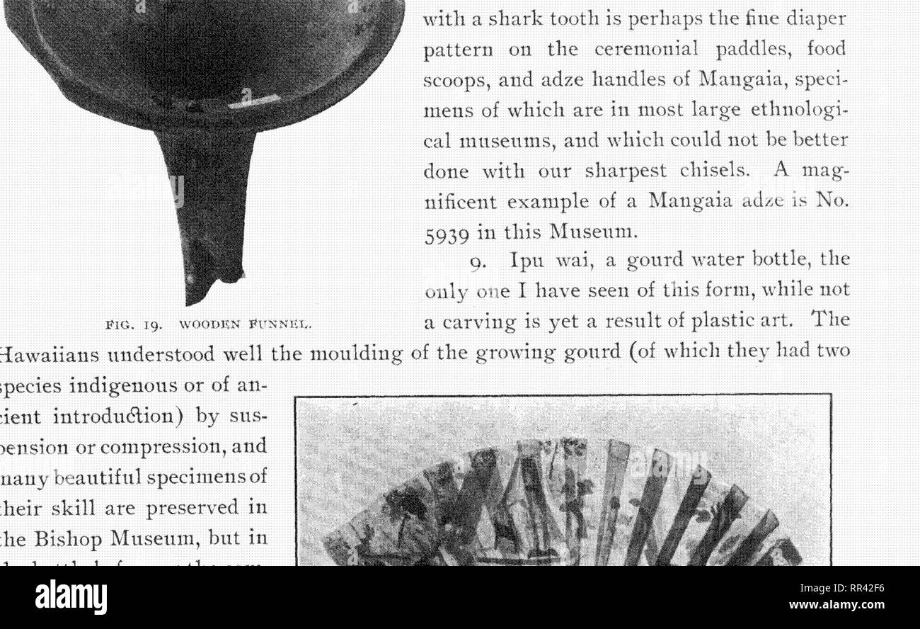 . Memoirs of the Bernice Pauahi Bishop Museum of Polynesian Ethnology and Natural History. Natural history; Ethnology. 20 ()ld ild'auiii'aji Ciin'inos. lo. Another iiidiratioti tlnit tlic property in tliis eaclie was once the treasure of a chief is tlic sh;ibby hiokiug' ruin of net work shown in Vii^. i8. This was onec, hove'cr, the iiel of a, niiieli prized feather cape, the peculiar property of the alii. So tar as can l,)i' detorinincd by the few remains of feathers still attached to their qiiills, the eoh)r was red, by no means su precious as the ycHow feathers. The sliape is rec- tant(ii Stock Photo