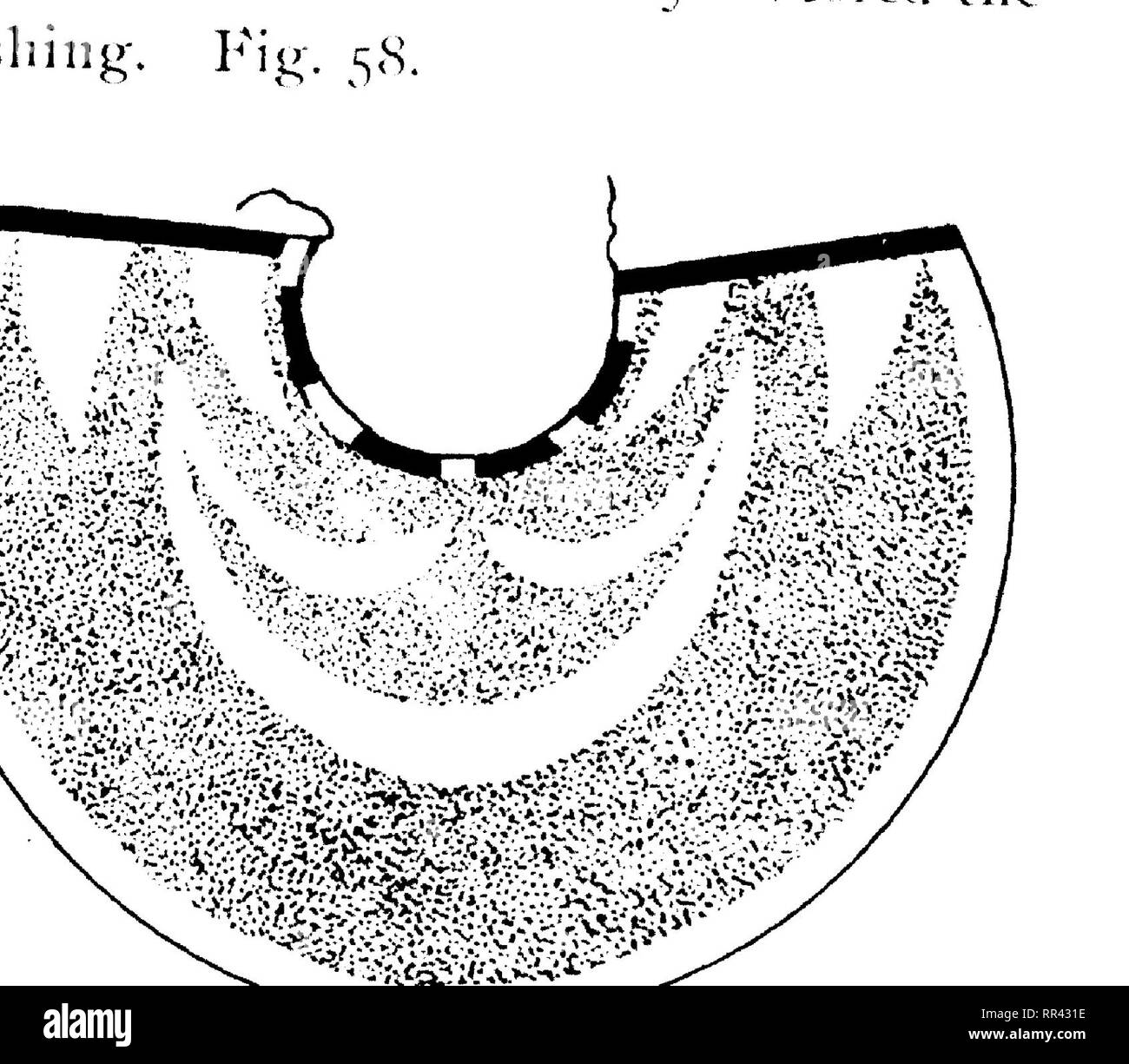 . Memoirs of the Bernice Pauahi Bishop Museum of Polynesian Ethnology and Natural History. Natural history; Ethnology. FIG. 62. 15. Cape of 00 with a central crescent half red, half black; red and black triangles on front, and black and red border on neck and front. Property of Mrs. Haalelea. Length, 14.5 inches; front, 9.7 and 10 inches. In good condition and the feathers very thick. Fig. 61. 35 Alexander J^iholiho [ Kamehameha IV.] was born February 9, 1834.—Chas. R. Bishop.. Please note that these images are extracted from scanned page images that may have been digitally enhanced for readab Stock Photo