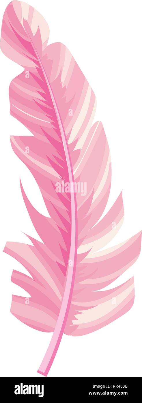 plume feather cartoon Stock Vector Image & Art - Alamy