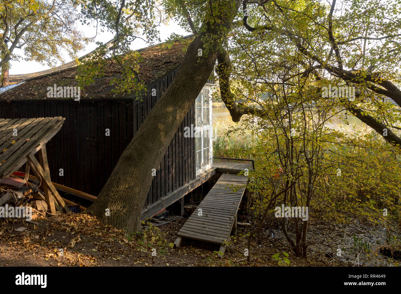 Small cabin in the forest, near Freetown Christiania, a self-proclaimed autonomous neighbourhood in Copenhagen Stock Photo