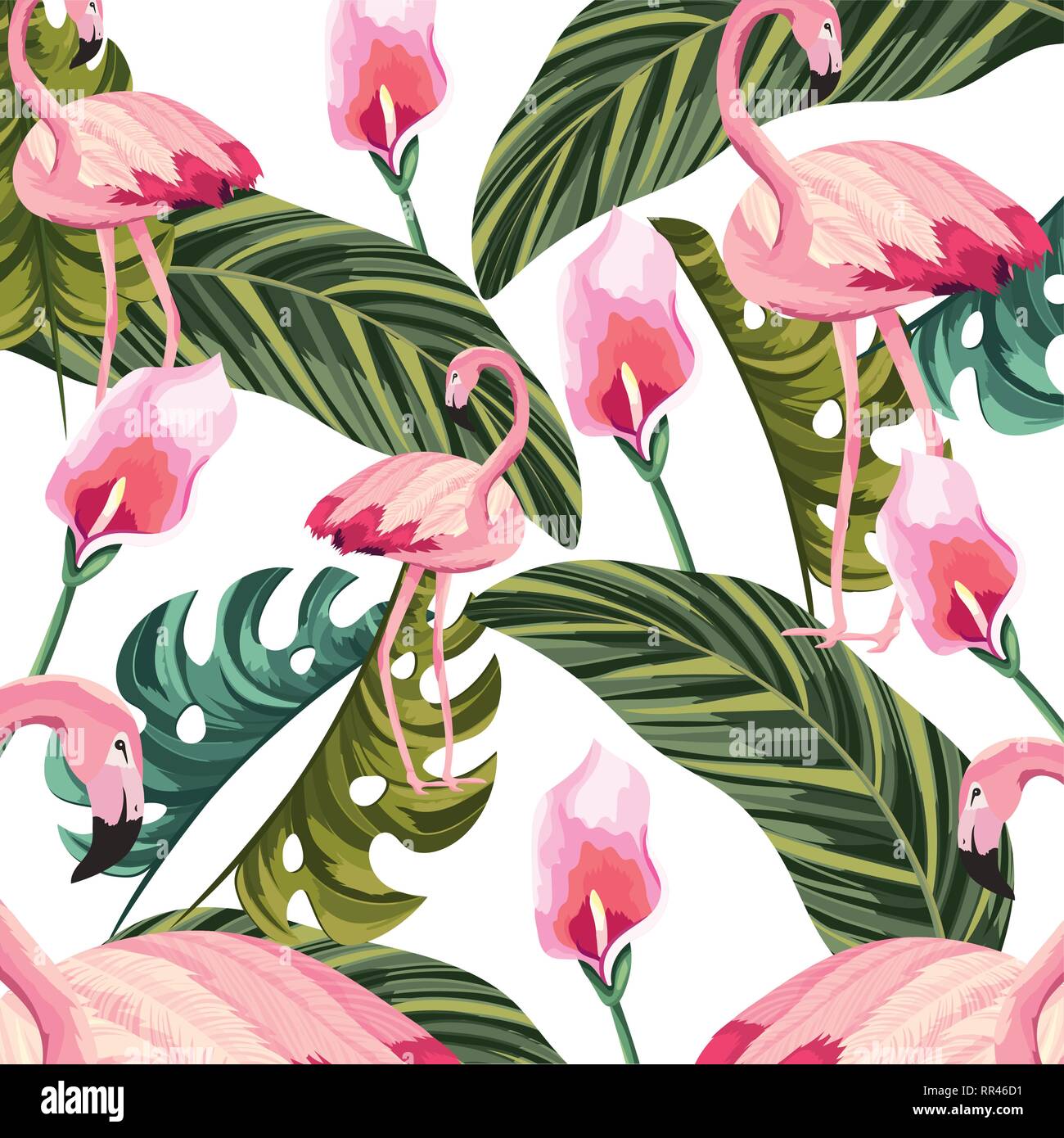 tropical flamingo cartoon Stock Vector Image & Art - Alamy