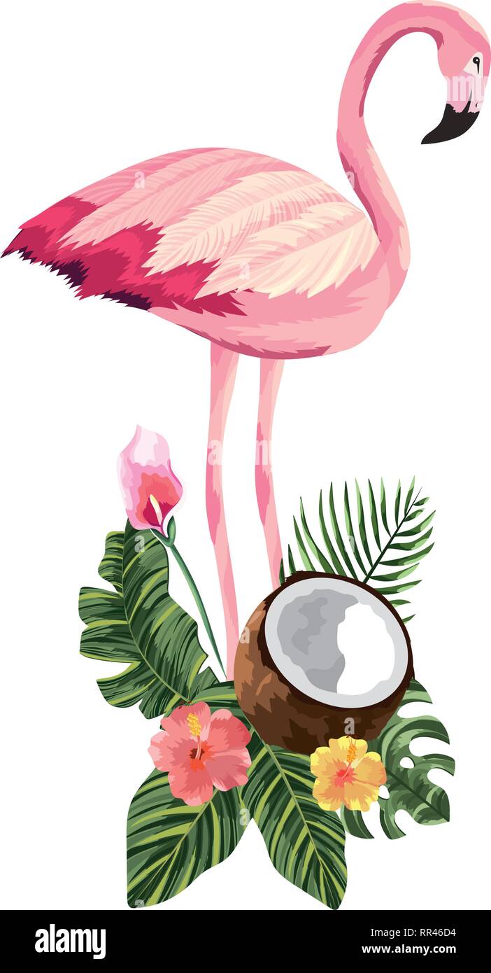 tropical flamingo cartoon Stock Vector Image & Art - Alamy