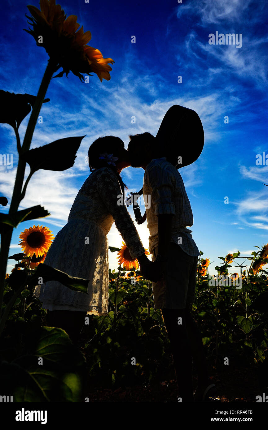 Couple kissing and silhouette hi-res stock photography and images - Alamy