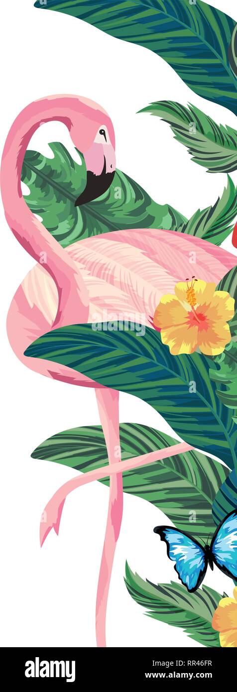 tropical flamingo cartoon Stock Vector Image & Art - Alamy
