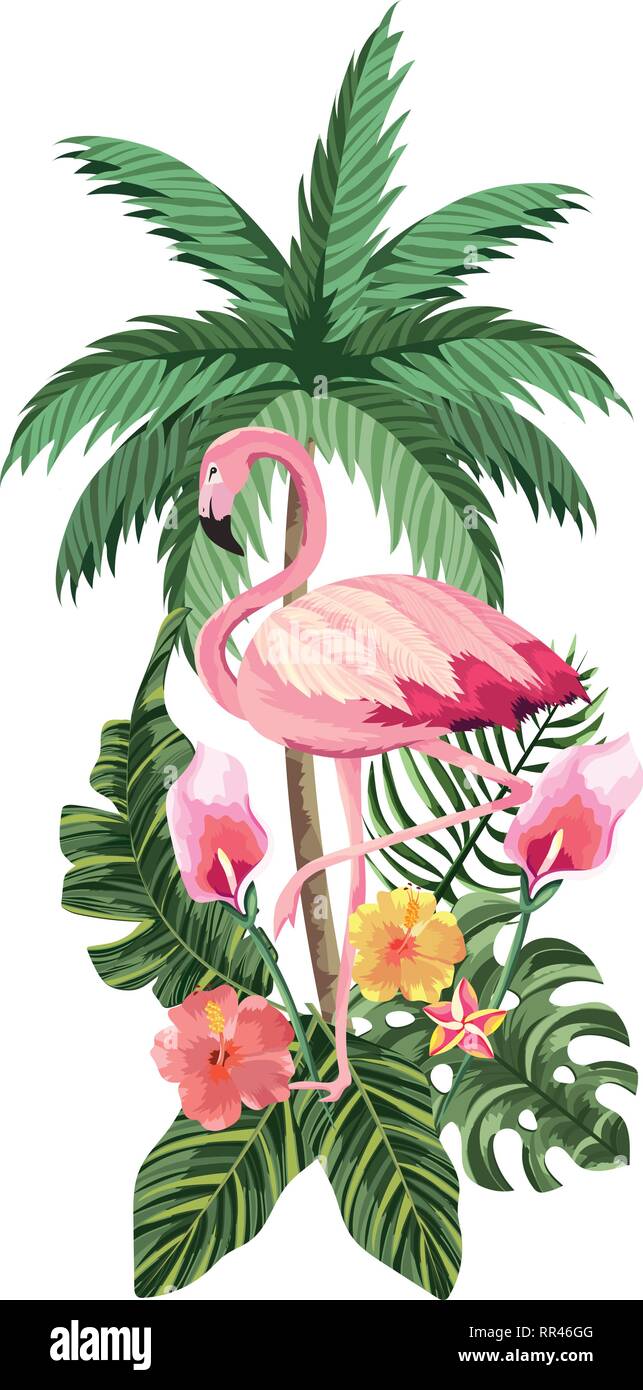 tropical flamingo cartoon Stock Vector Image & Art - Alamy