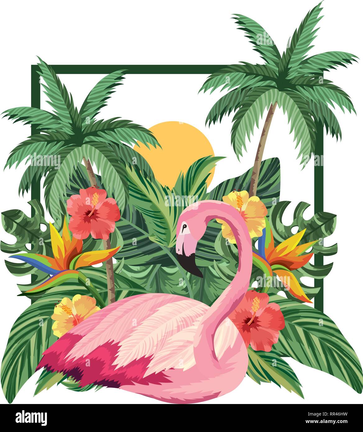 tropical flamingo cartoon Stock Vector Image & Art - Alamy