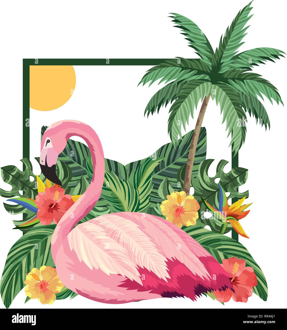 tropical flamingo cartoon Stock Vector Image & Art - Alamy