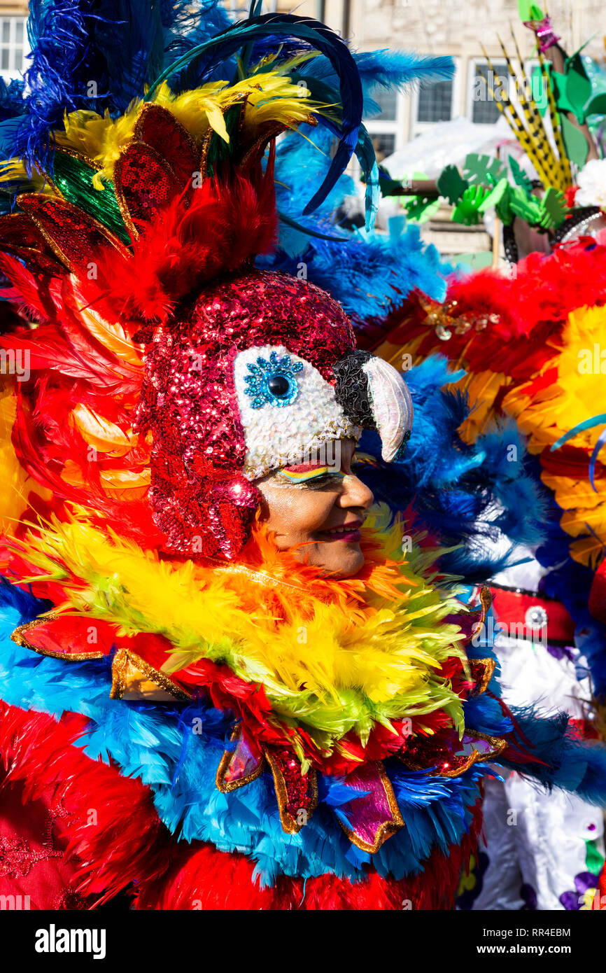samba feathers
