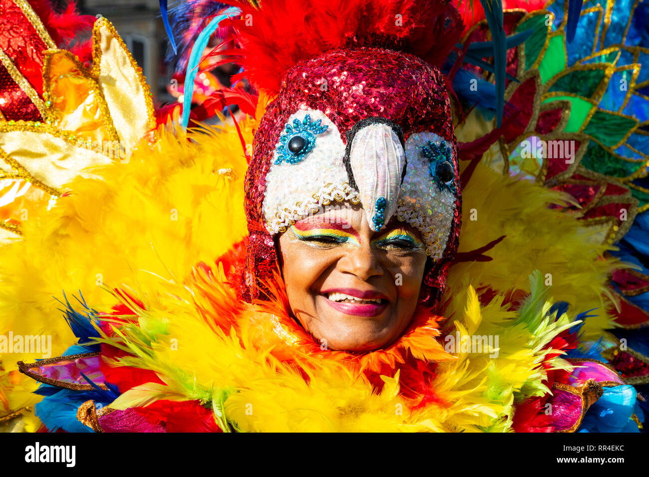 samba feathers