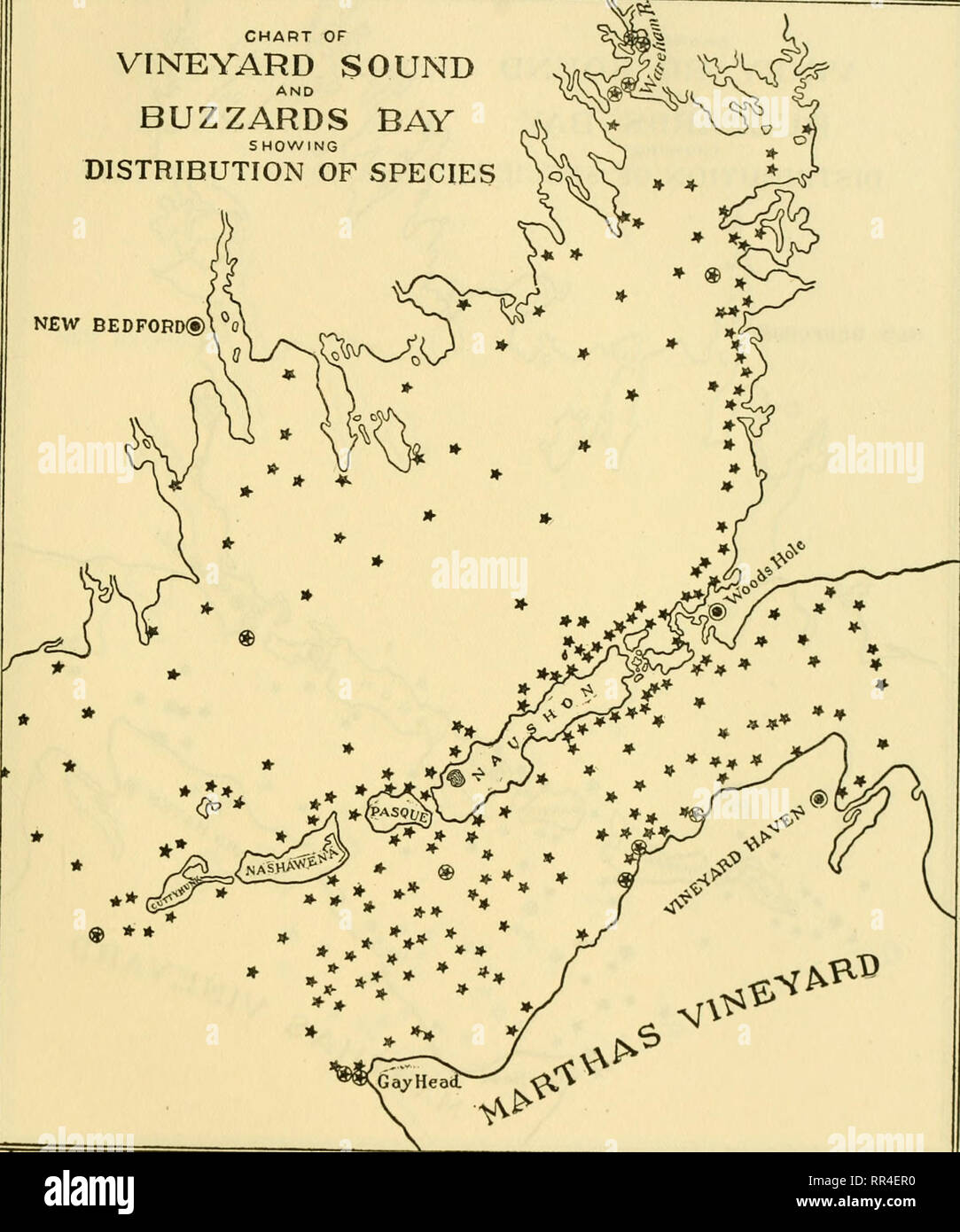 . [A biological survey of the waters of Woods Hole and vicinity. Marine animals; Marine plants. BIOLOGICAIv SURVEY OF WOODS HOI.E AND VICINITY. 341 CHART OF VINEVARD SOUND AND BUZZARDS BAY SHOWING DISTRIBUTION OF SPECIES NEW BEDFORD®. s.GayHea(£ ' &lt;^ Chart 123.—Anomia simplex. (See explanation of chart 26.). Please note that these images are extracted from scanned page images that may have been digitally enhanced for readability - coloration and appearance of these illustrations may not perfectly resemble the original work.. Sumner, Francis Bertody, 1874-; Osburn, Raymond C. (Raymond Carrol Stock Photo