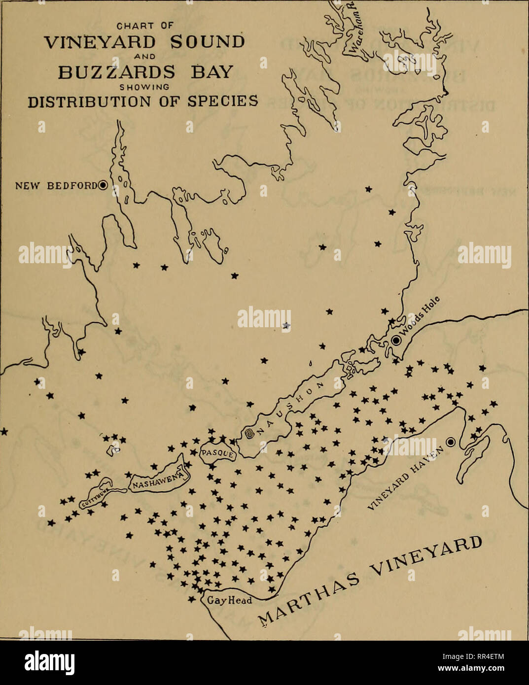 . [A biological survey of the waters of Woods Hole and vicinity. Marine animals; Marine plants. BIOLOGICAL SURVEY OP WOODS HOLE AND VICINITY. 333 CHART OF VINEYARD SOUND BUZZARDS BAY SHOWING DISTRIBUTION OF SPECIES NEW BEDFORD®! 0. Chart 115.—Cancer irroratus.. Please note that these images are extracted from scanned page images that may have been digitally enhanced for readability - coloration and appearance of these illustrations may not perfectly resemble the original work.. United States. Bureau of Fisheries; Sumner, Francis Bertody, 1874-; Osburn, Raymond Carroll, 1872-; Cole, Leon Jacob, Stock Photo