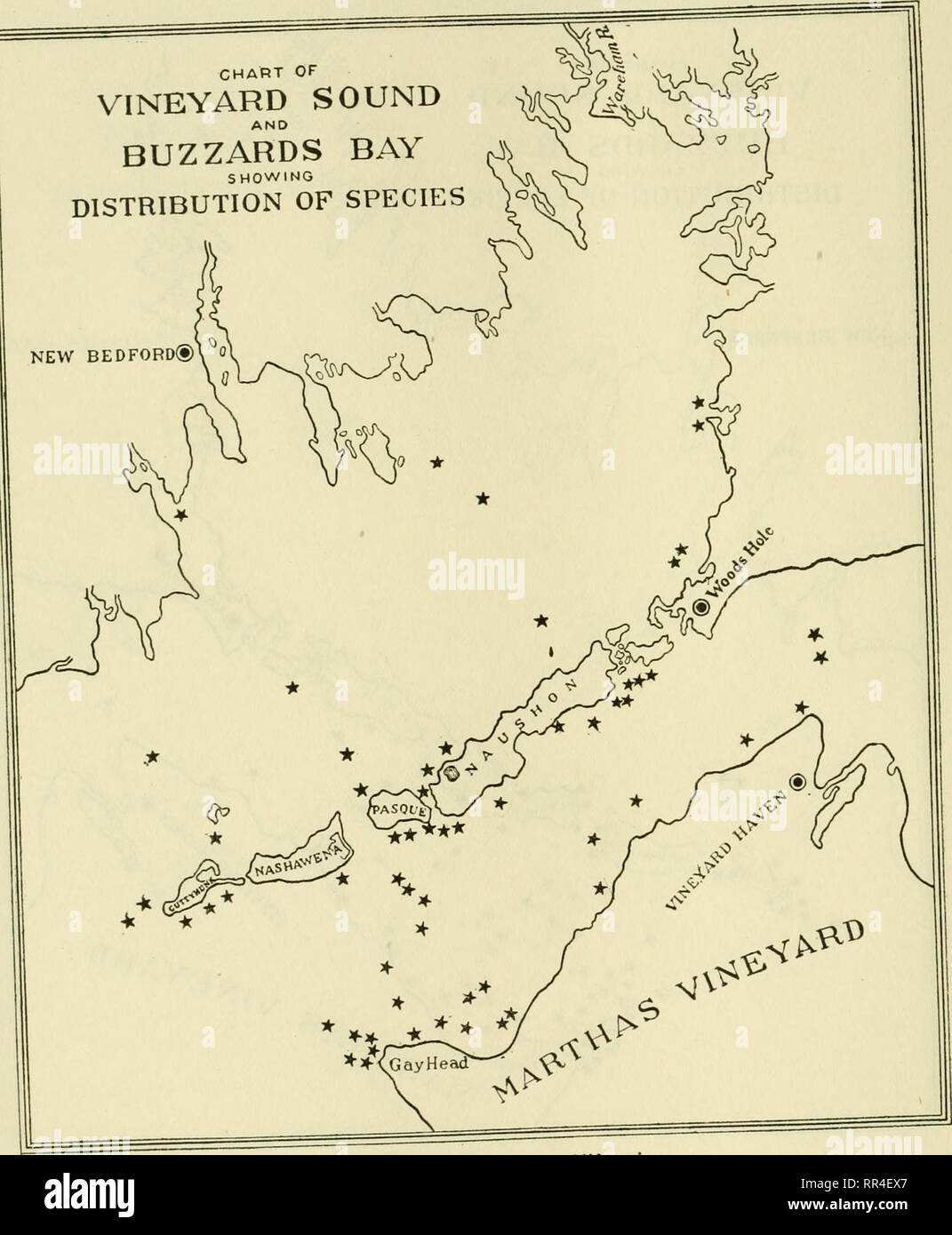 . [A biological survey of the waters of Woods Hole and vicinity. Marine animals; Marine plants. 324 BULLETIN OI? THE BUREAU OF FISHERIES. r CHART OF VINEYARD SOUND BUZZARDS BAY SHOWING DISTRIBUTION OF SPECIES. Chart io6.—Erichsonella filiformis.. Please note that these images are extracted from scanned page images that may have been digitally enhanced for readability - coloration and appearance of these illustrations may not perfectly resemble the original work.. Sumner, Francis Bertody, 1874-; Osburn, Raymond C. (Raymond Carroll), 1872-1955; Cole, Leon Jacob, 1877-; Davis, Bradley M. (Bradley Stock Photo