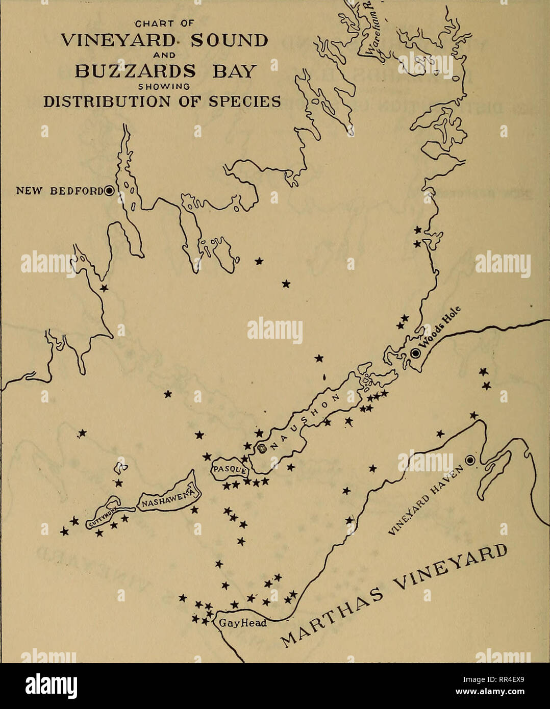. [A biological survey of the waters of Woods Hole and vicinity. Marine animals; Marine plants. 324 BULLETIN OF THE BUREAU OF FISHERIES. CHART OF VINEYARD SOUND BUZZARDS BAY SHOWING DISTRIBUTION OF SPECIES NEW BEDFORD® 0. Chart 106.—Erichsonella filiformis.. Please note that these images are extracted from scanned page images that may have been digitally enhanced for readability - coloration and appearance of these illustrations may not perfectly resemble the original work.. United States. Bureau of Fisheries; Sumner, Francis Bertody, 1874-; Osburn, Raymond Carroll, 1872-; Cole, Leon Jacob, 1 Stock Photo
