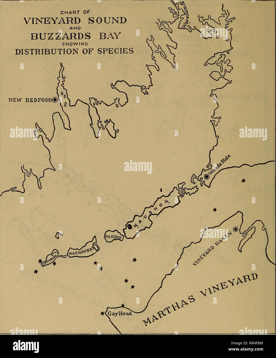 . [A biological survey of the waters of Woods Hole and vicinity. Marine animals; Marine plants. 3&lt;H BULLETIN OF THE BUREAU OF FISHERIES. CHART OF VINEYARD SOUND BUZZARDS BAY SHOWING DISTRIBUTION OF SPECIES NEW BEDFORD®. Chart 86.—Haustorius arenarius.. Please note that these images are extracted from scanned page images that may have been digitally enhanced for readability - coloration and appearance of these illustrations may not perfectly resemble the original work.. United States. Bureau of Fisheries; Sumner, Francis Bertody, 1874-; Osburn, Raymond Carroll, 1872-; Cole, Leon Jacob, 1877- Stock Photo