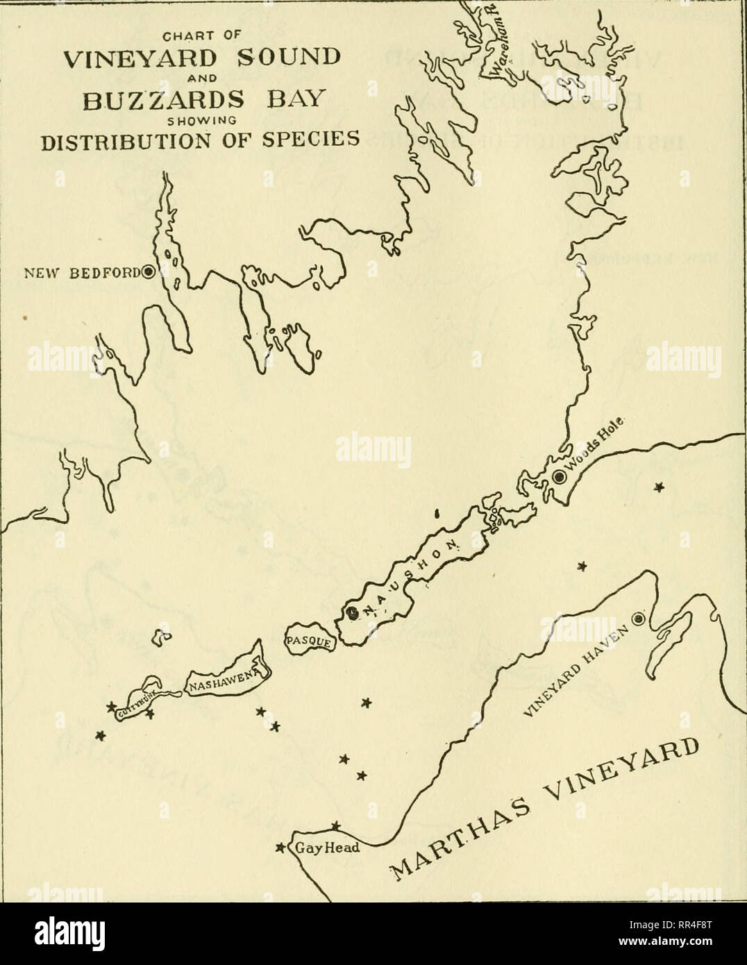 . [A biological survey of the waters of Woods Hole and vicinity. Marine animals; Marine plants. 304 BUI.I.ETIN OF THE BUREAU OF FISHERIES. CHART OF VINEYARD SOUND BUZZARDS BAY ^v SHOWING (V DISTRIBUTION OF SPECIES W NEW BEDFORD®. Chart 86.—Haustorius arenarius.. Please note that these images are extracted from scanned page images that may have been digitally enhanced for readability - coloration and appearance of these illustrations may not perfectly resemble the original work.. Sumner, Francis Bertody, 1874-; Osburn, Raymond C. (Raymond Carroll), 1872-1955; Cole, Leon Jacob, 1877-; Davis, B Stock Photo