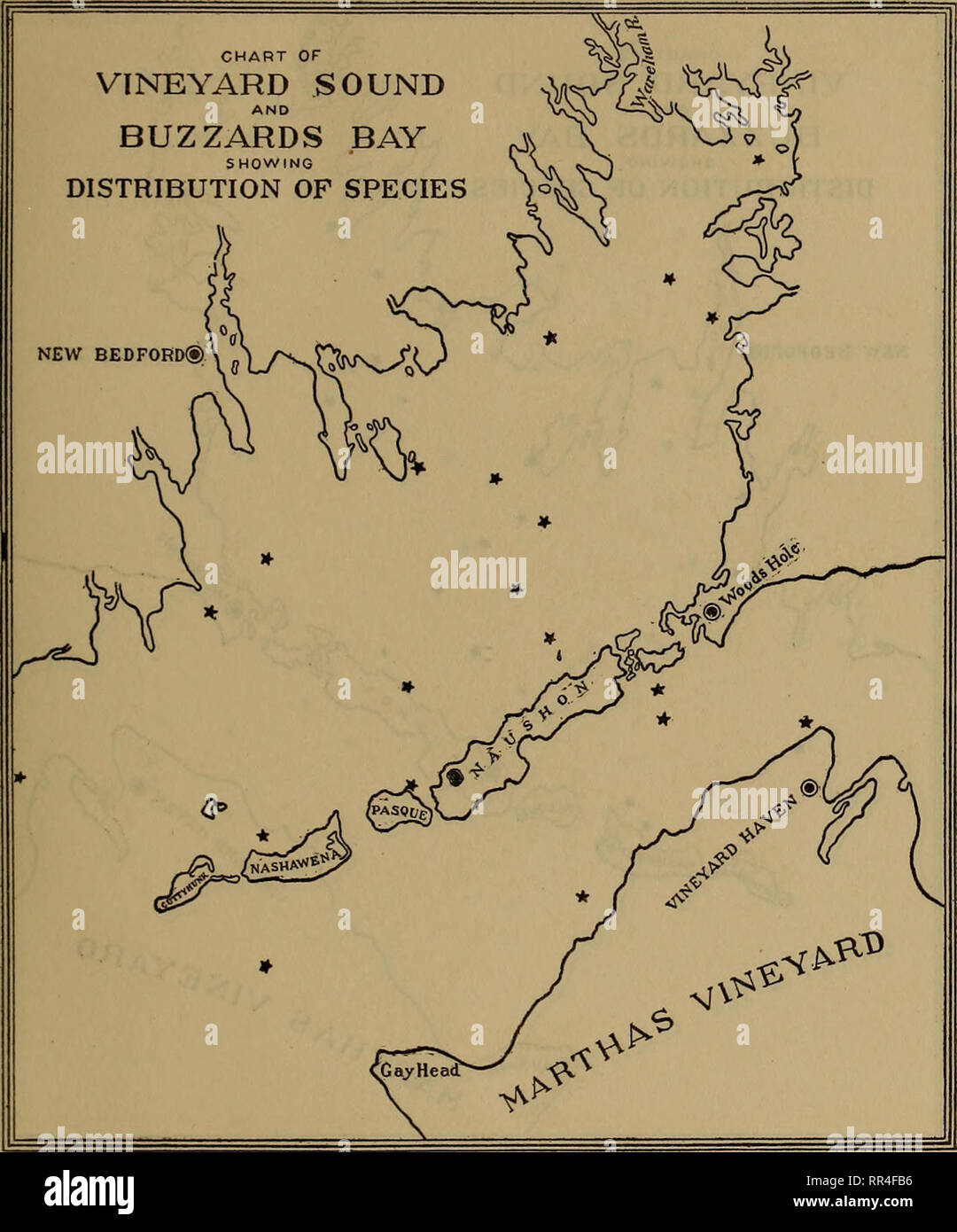 . [A biological survey of the waters of Woods Hole and vicinity. Marine animals; Marine plants. BIOLOGICAL SURVEY OF WOODS HOLE AND VICINITY. 291. Chart 73.—Ampharete setosa.. Please note that these images are extracted from scanned page images that may have been digitally enhanced for readability - coloration and appearance of these illustrations may not perfectly resemble the original work.. United States. Bureau of Fisheries; Sumner, Francis Bertody, 1874-; Osburn, Raymond Carroll, 1872-; Cole, Leon Jacob, 1877-; Davis, Bradley Moore, 1871-. Washington, Govt. Print. Off. Stock Photo