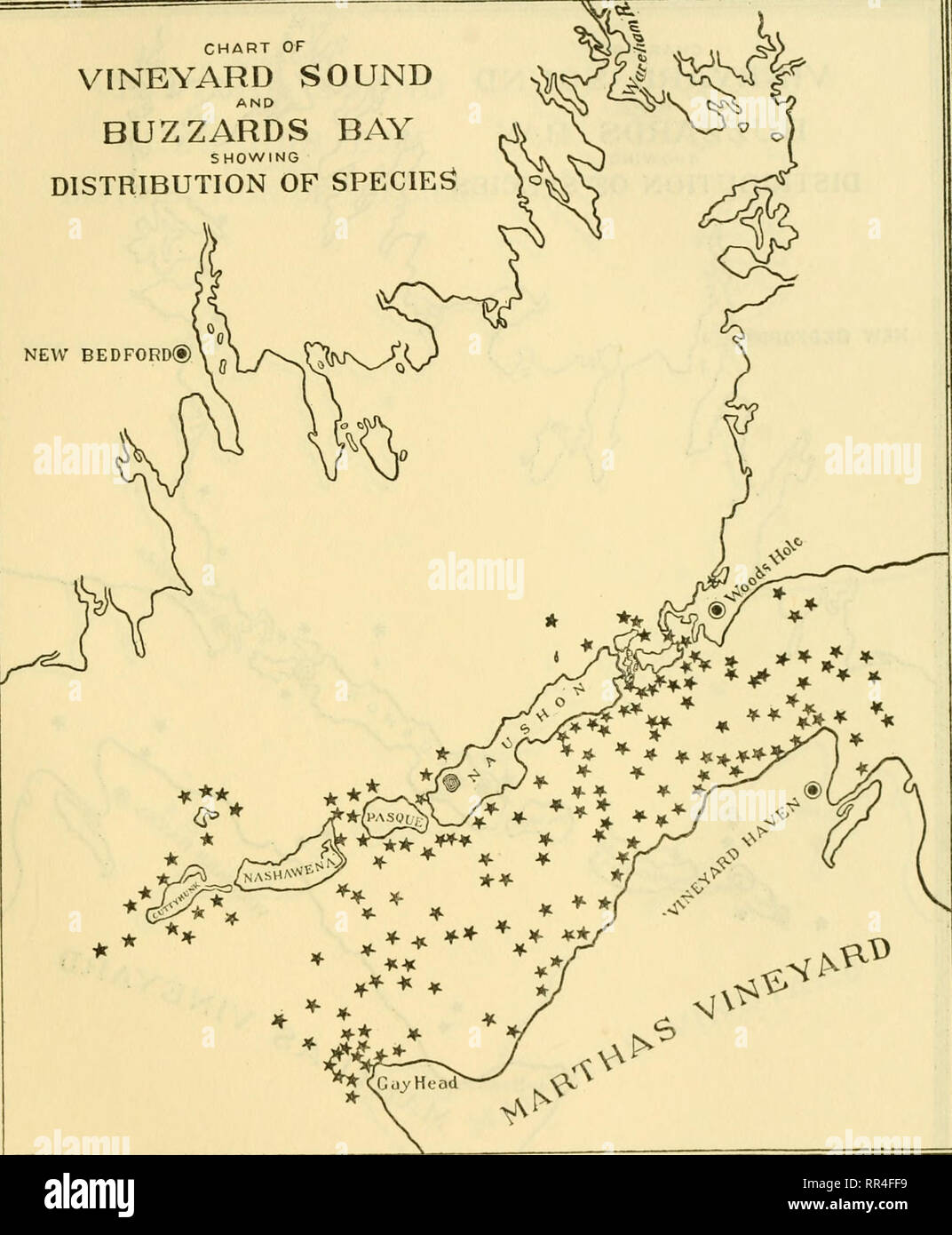 . [A biological survey of the waters of Woods Hole and vicinity. Marine animals; Marine plants. BIOI^OGICAIv SURVEY OF WOODS HOLE AND VICINITY. 277 CHART OF VINEYARD SOUND AND BUZZARDS BAY S MOWING DISTRIBUTION OF SPECIE^ NEW BED. Chart 59.—Nereis pelagica.. Please note that these images are extracted from scanned page images that may have been digitally enhanced for readability - coloration and appearance of these illustrations may not perfectly resemble the original work.. Sumner, Francis Bertody, 1874-; Osburn, Raymond C. (Raymond Carroll), 1872-1955; Cole, Leon Jacob, 1877-; Davis, Bradley Stock Photo