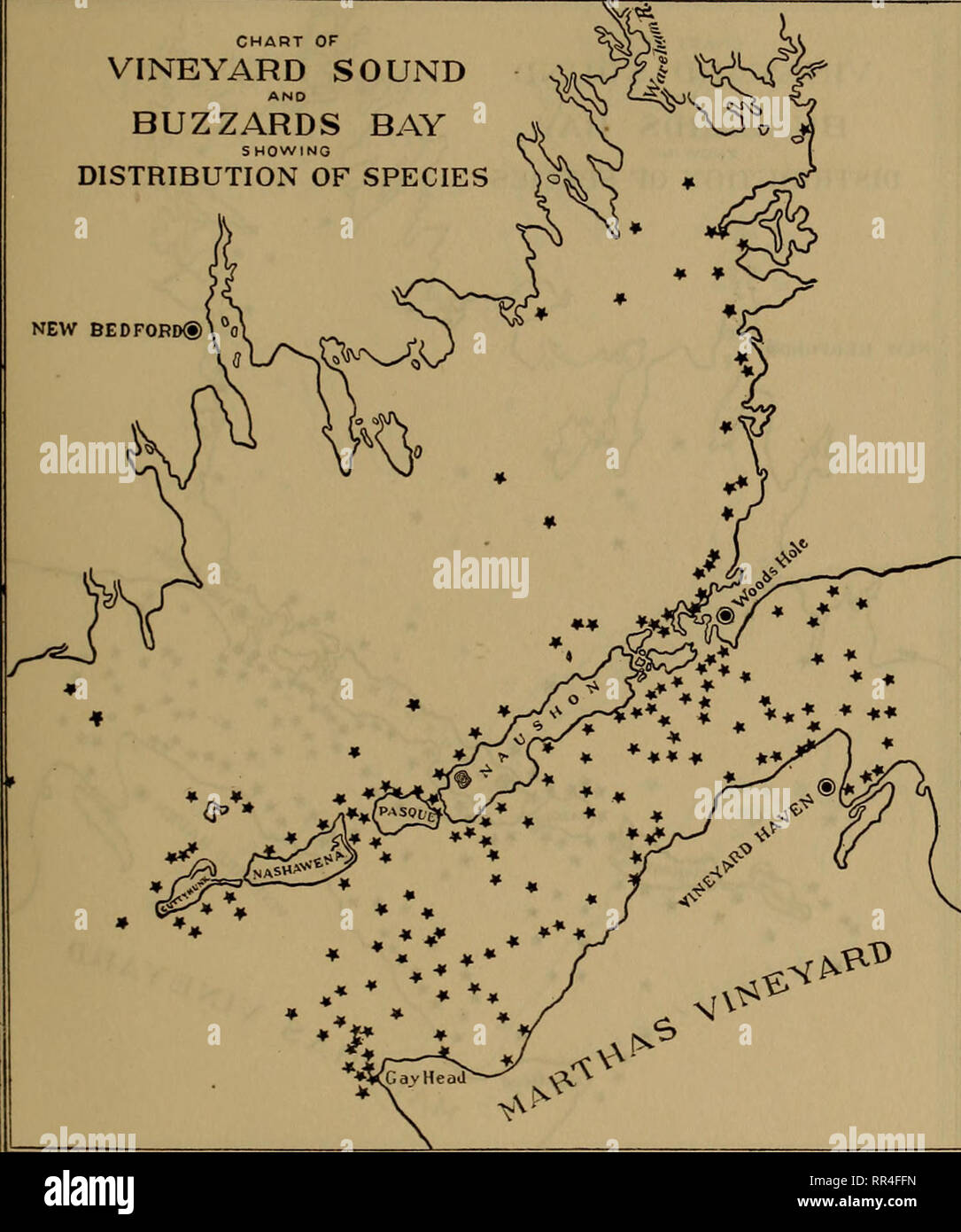 . [A biological survey of the waters of Woods Hole and vicinity. Marine animals; Marine plants. BIOLOGICAL SURVEY OF WOODS HOLE AND VICINITY. 273 CHART OF VINEYARD SOUND AND BUZZARDS BAY SHOWING DISTRIBUTION OF SPECIES ^ NEW BEDFORD®. Chart 55.—Harmothoe imbricata 162690—Bull. 31, pt 1—13 18. Please note that these images are extracted from scanned page images that may have been digitally enhanced for readability - coloration and appearance of these illustrations may not perfectly resemble the original work.. United States. Bureau of Fisheries; Sumner, Francis Bertody, 1874-; Osburn, Raymond C Stock Photo