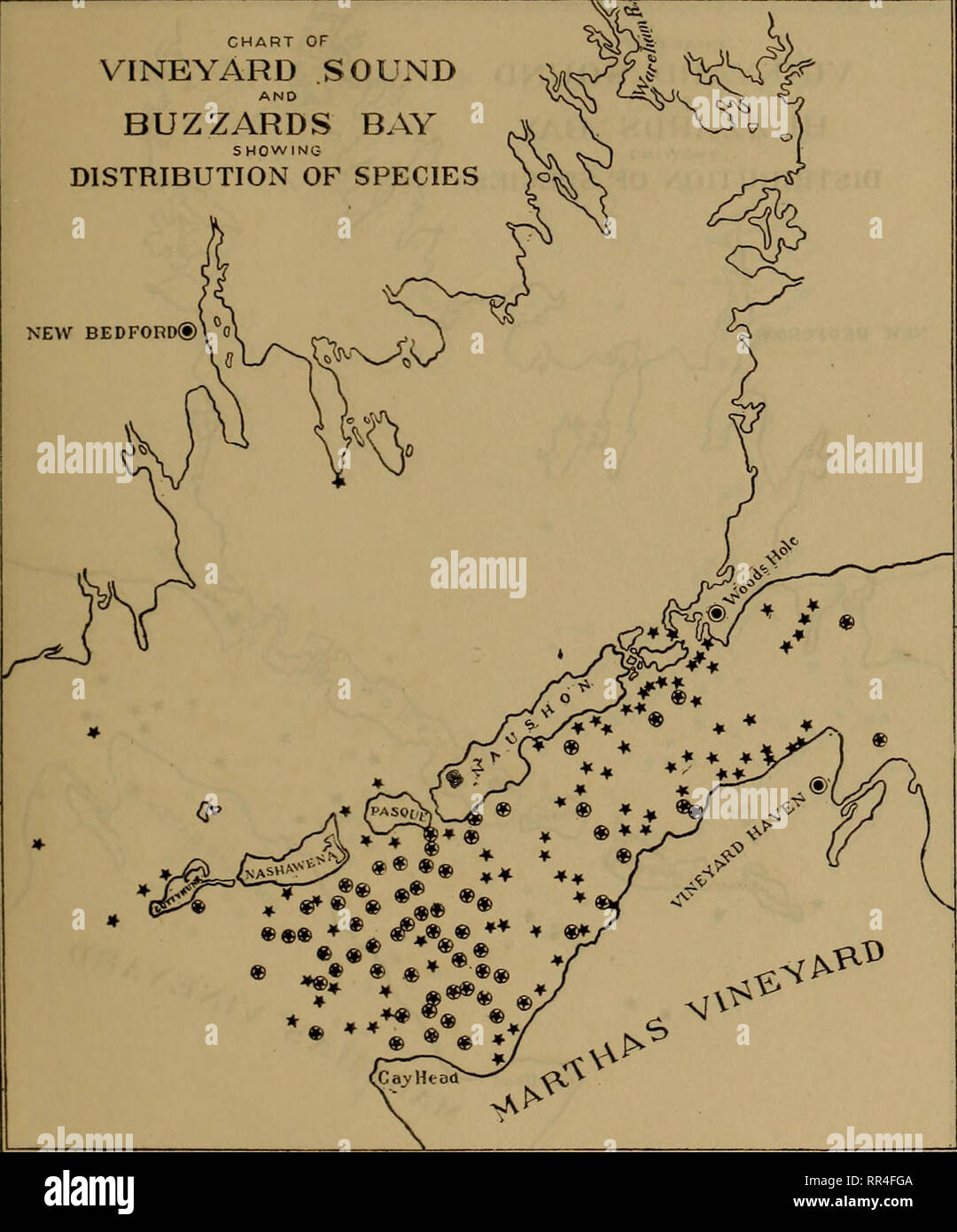 . [A biological survey of the waters of Woods Hole and vicinity. Marine animals; Marine plants. BIOLOGICAL SURVEY OF WOODS HOLE AND VICINITY. 271 CHART OF VINEYARD SOUND BUZZARDS BAY SHOWINC- DISTRIBUTION OF SPECIES }o&lt; NEW BEDFOnD® 0. Chart 53.—Echinarachnius parma. (See explanation of chart 26.). Please note that these images are extracted from scanned page images that may have been digitally enhanced for readability - coloration and appearance of these illustrations may not perfectly resemble the original work.. United States. Bureau of Fisheries; Sumner, Francis Bertody, 1874-; Osburn, Stock Photo