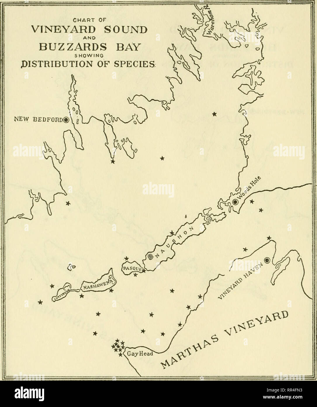 . [A biological survey of the waters of Woods Hole and vicinity. Marine animals; Marine plants. 258 BUI^I^ETIN OF THE BUREAU OF FISHERIES.. Chart 40.—Hippothoa hyalina.. Please note that these images are extracted from scanned page images that may have been digitally enhanced for readability - coloration and appearance of these illustrations may not perfectly resemble the original work.. Sumner, Francis Bertody, 1874-; Osburn, Raymond C. (Raymond Carroll), 1872-1955; Cole, Leon Jacob, 1877-; Davis, Bradley M. (Bradley Moore), b. 1871; United States. Bureau of Fisheries. Washington : Govt. Prin Stock Photo