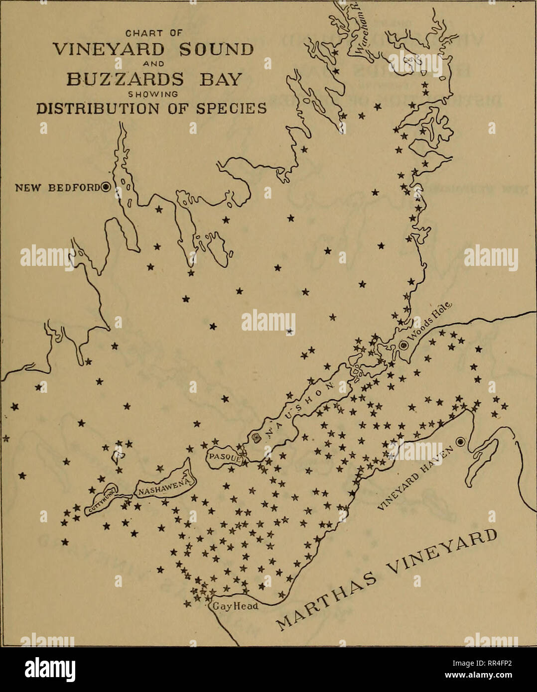 . [A biological survey of the waters of Woods Hole and vicinity. Marine animals; Marine plants. BIOLOGICAL SURVEY OF WOODS HOLE AND VICINITY. 249 CHART OF VINEYARD SOUND BUZZARDS BAY SHOWING DISTRIBUTION OF SPECIES NEW BEDFORD®. Chart 31.—Bugula turrita.. Please note that these images are extracted from scanned page images that may have been digitally enhanced for readability - coloration and appearance of these illustrations may not perfectly resemble the original work.. United States. Bureau of Fisheries; Sumner, Francis Bertody, 1874-; Osburn, Raymond Carroll, 1872-; Cole, Leon Jacob, 1877- Stock Photo