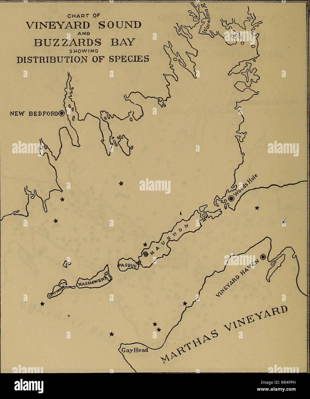 . [A biological survey of the waters of Woods Hole and vicinity. Marine animals; Marine plants. 246 BULLETIN OF THE BUREAU OF FISHERIES. CHART OF VINEYARD SOUND BUZZARDS BAY SHOWING DISTRIBUTION OF SPECIES NEW BEDFORD®. Chart 28.—Tubulipora liliacea.. Please note that these images are extracted from scanned page images that may have been digitally enhanced for readability - coloration and appearance of these illustrations may not perfectly resemble the original work.. United States. Bureau of Fisheries; Sumner, Francis Bertody, 1874-; Osburn, Raymond Carroll, 1872-; Cole, Leon Jacob, 1877-; Da Stock Photo