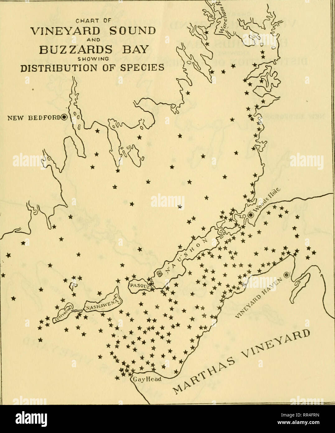 . [A biological survey of the waters of Woods Hole and vicinity. Marine animals; Marine plants. BIOI.OGICAL SURVEY OF WOODS HOIvE AND VICINITY. 249 CHART OF VINEYARD SOUND BUZZARDS BAY SHOWING DISTRIBUTION OF SPECIES NEW BEDFORD®. Chart 31.—Bugula turrita.. Please note that these images are extracted from scanned page images that may have been digitally enhanced for readability - coloration and appearance of these illustrations may not perfectly resemble the original work.. Sumner, Francis Bertody, 1874-; Osburn, Raymond C. (Raymond Carroll), 1872-1955; Cole, Leon Jacob, 1877-; Davis, Bradley  Stock Photo